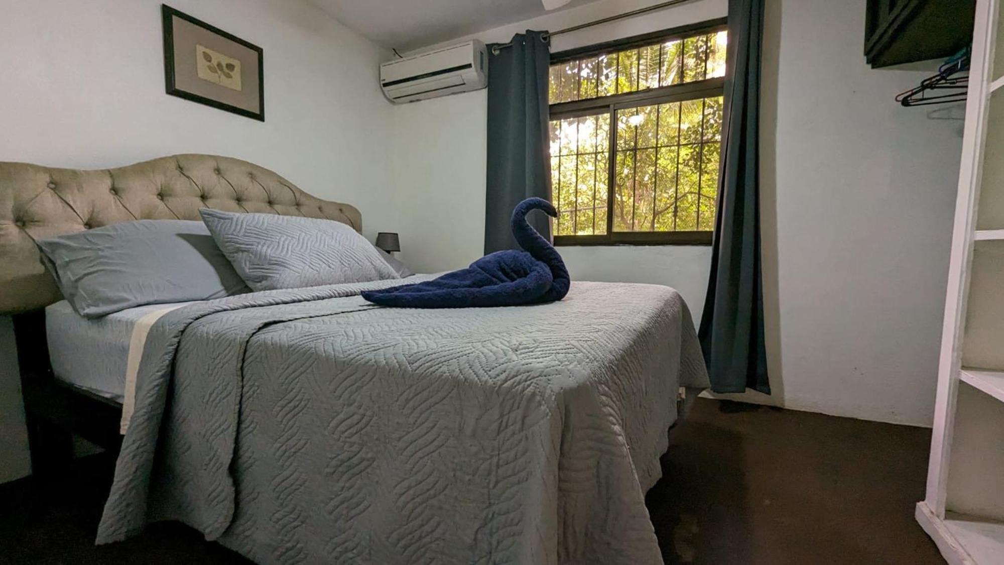 Iguana Street Houses كوكو المظهر الخارجي الصورة
