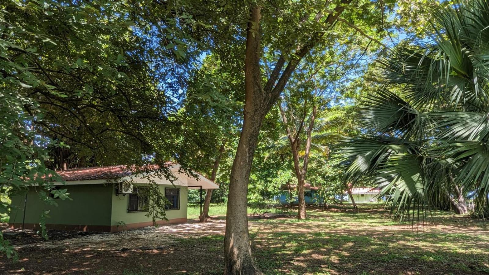Iguana Street Houses كوكو المظهر الخارجي الصورة