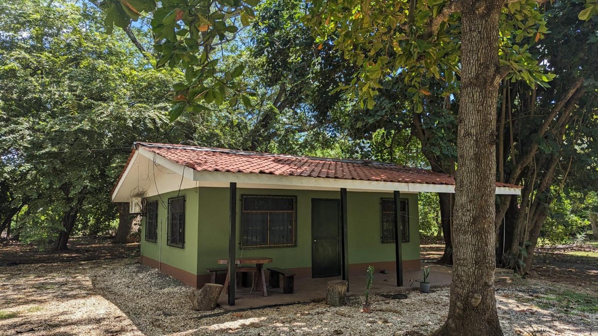 Iguana Street Houses كوكو المظهر الخارجي الصورة