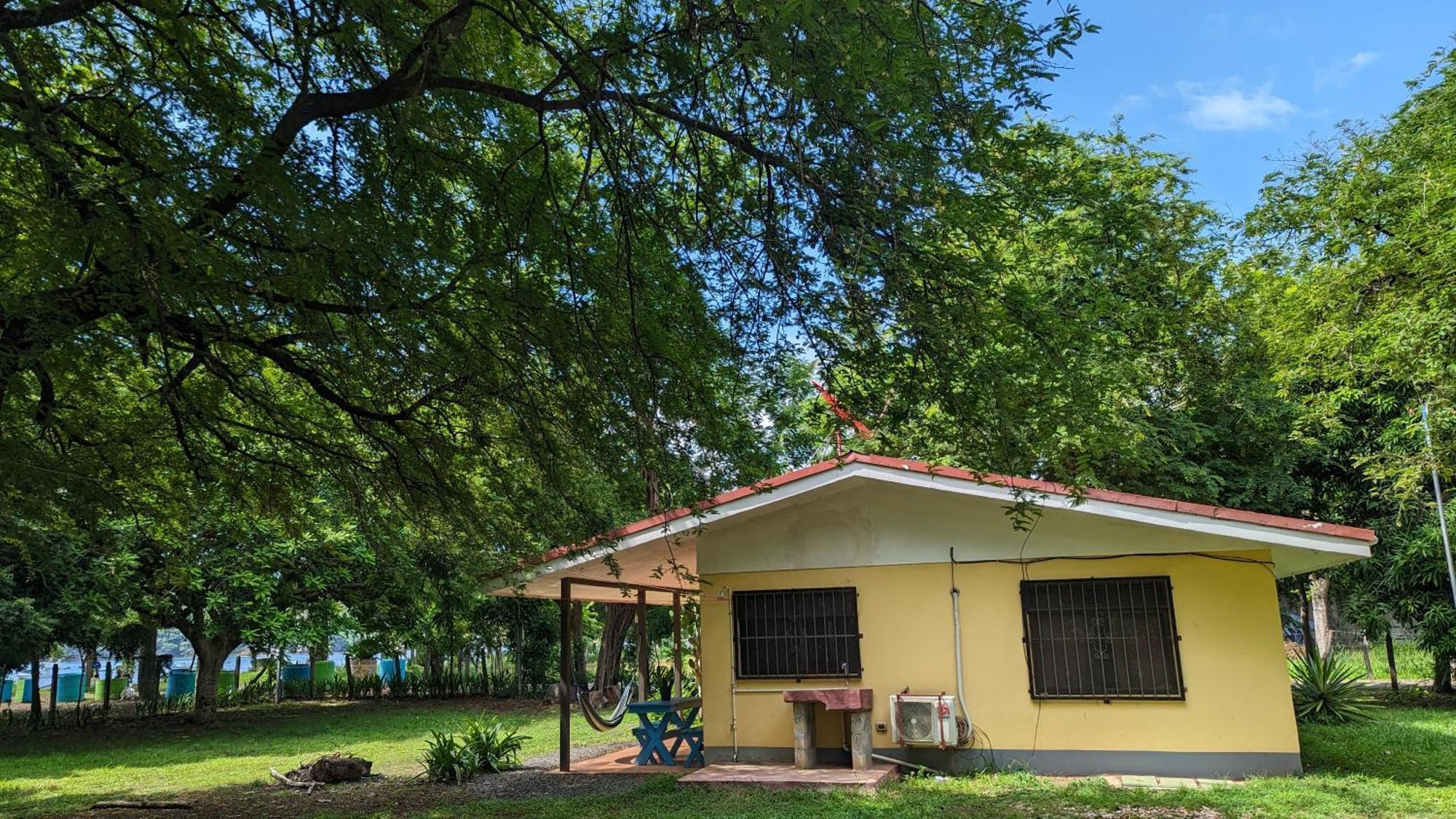 Iguana Street Houses كوكو المظهر الخارجي الصورة